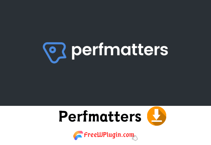 Perfmatters v2.3.1完美破解专业WordPress性能优化插件免费下载