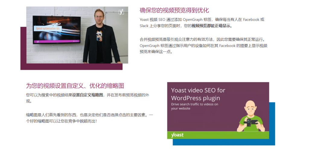 Yoast Video SEO v14.8完美破解WordPress SEO插件免费下载