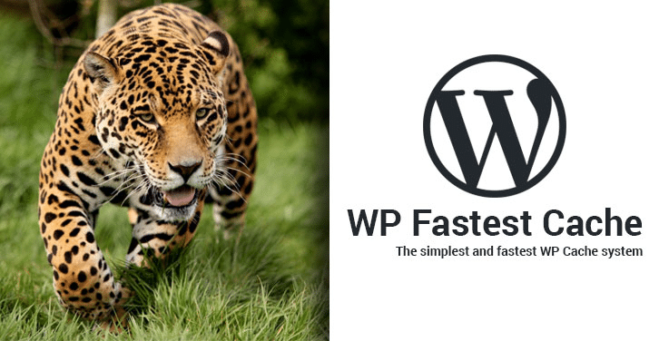 WP Fastest Cache Premium v1.7.0完美破解WordPress静态化缓存插件免费下载