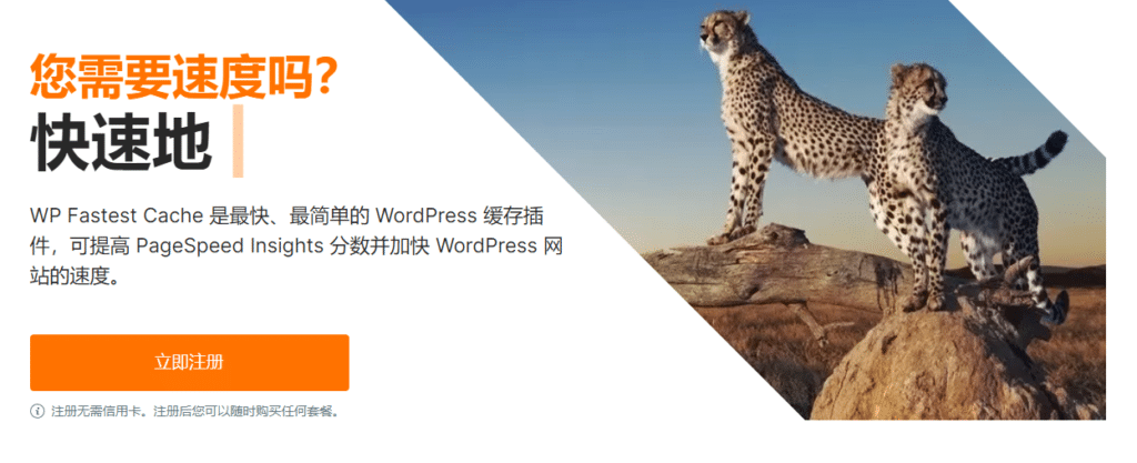 WP Fastest Cache Premium v1.7.0完美破解WordPress静态化缓存插件免费下载