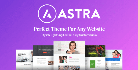 Astra Premium Sites v4.3.4完美破解付费模板主题免费下载