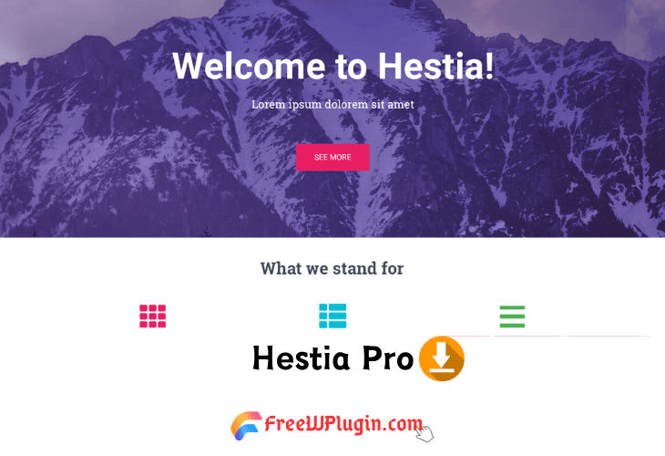 Hestia Pro v3.1.1完美破解付费多功能现代设计主题免费下载