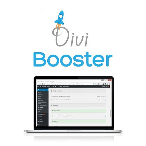 Divi Booster v4.4.9完美破解Divi主题高级自定义插件免费下载