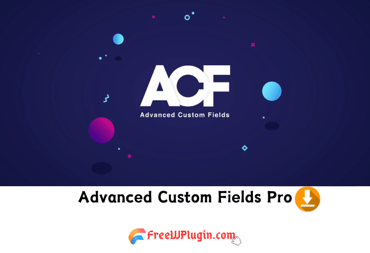 Advanced Custom Fields Pro v6.3.1 完美破解Wordpress自定义字段插件免费下载